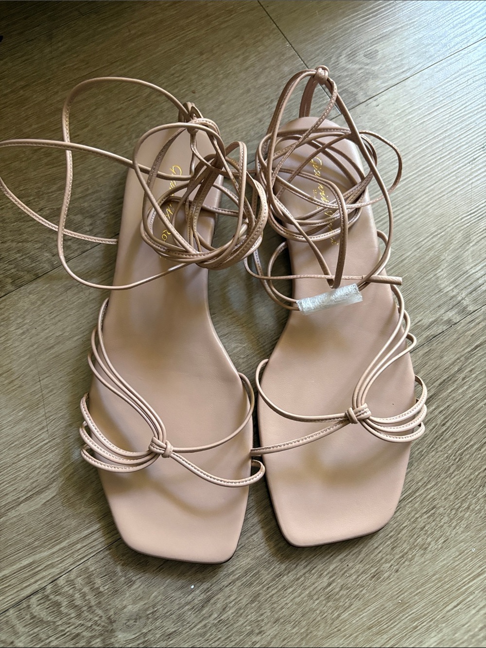 Gianvito Rossi Women’s Lace-Up Strappy Sandals in beige nude